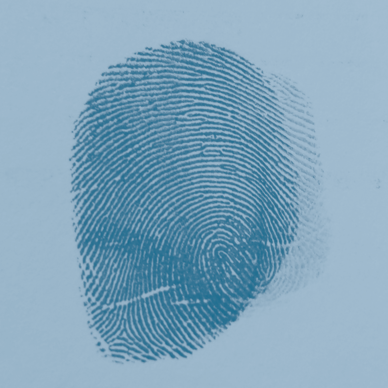 Just A Fingerprinting